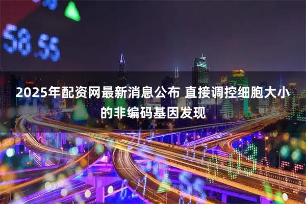 2025年配资网最新消息公布 直接调控细胞大小的非编码基因发现