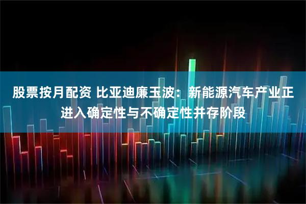 股票按月配资 比亚迪廉玉波：新能源汽车产业正进入确定性与不确定性并存阶段